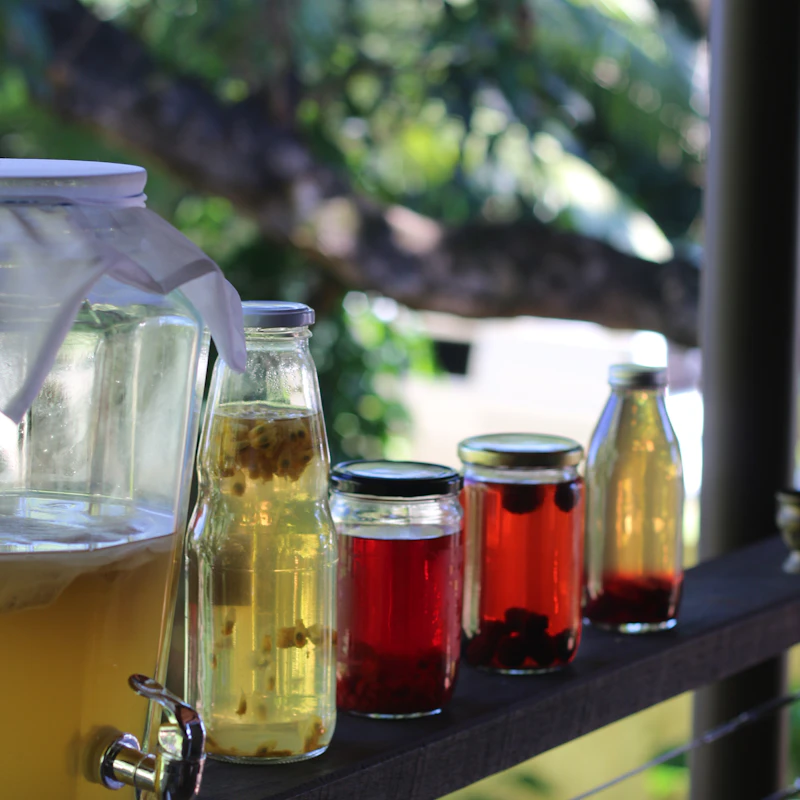 Berry Hibiscus Kombucha Duo β Beverages at Peasley Store