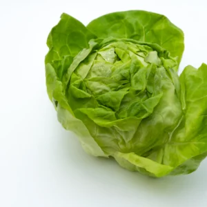 Butter Lettuce Twin Pack — Fresh Produce at Peasley Store