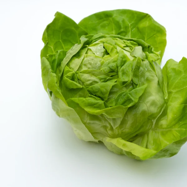 Butter Lettuce Twin Pack — Fresh Produce at Peasley Store