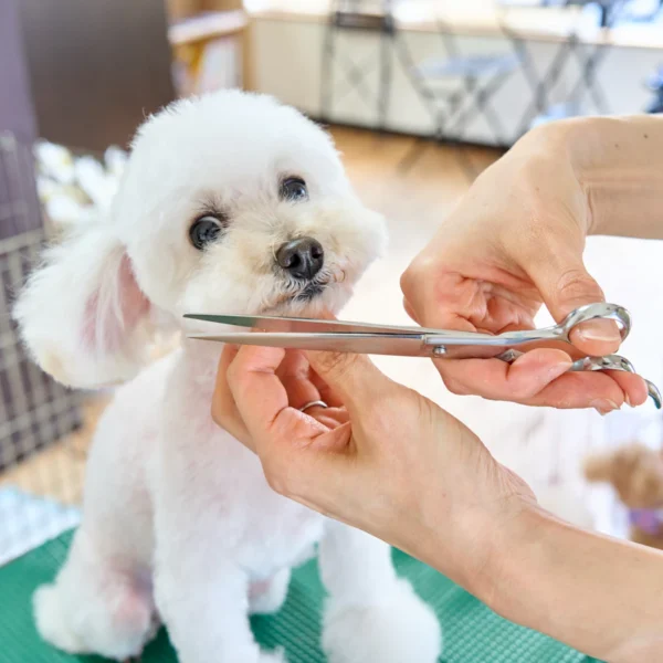 Home Grooming Kit for Dogs — Pet Supplies at Peasley Store