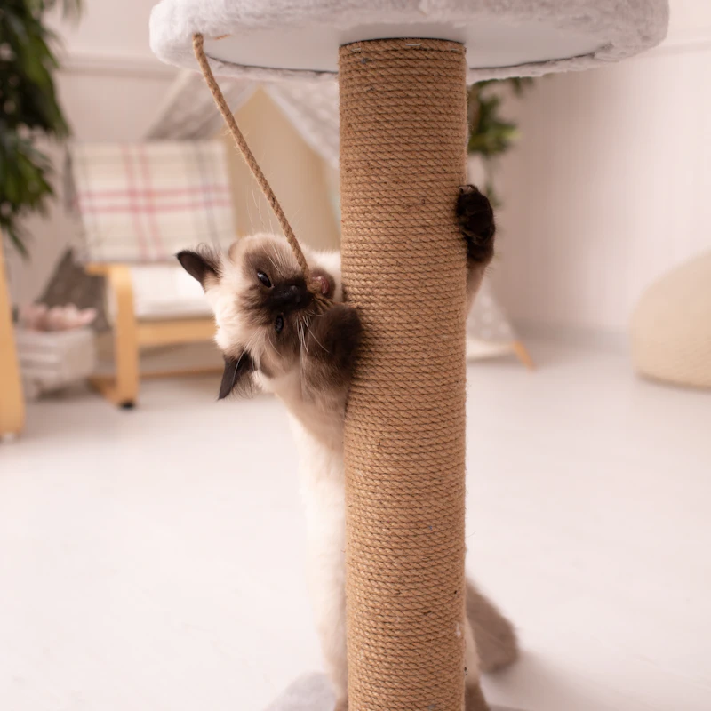 Modern Cat Tree Tower 52" β Pet Supplies at Peasley Store