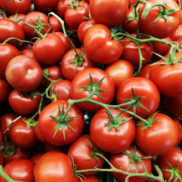 Vine-Ripened Tomatoes 1.5 lb — Fresh Produce at Peasley Store